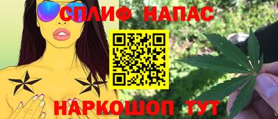 молекула духа Новозыбков