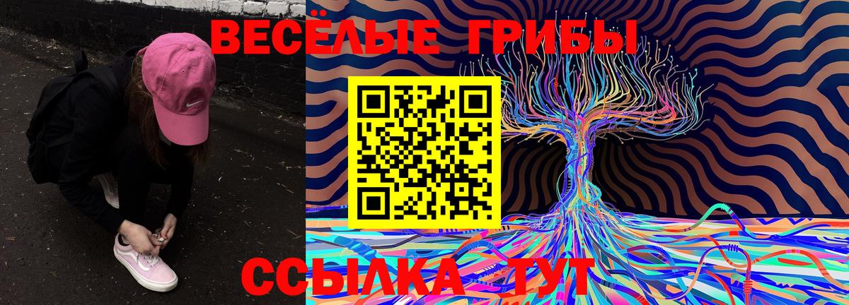 Псилоцибиновые грибы мицелий Усинск