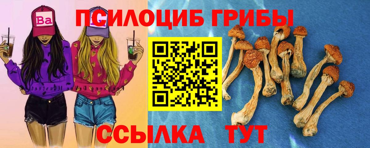 Псилоцибиновые грибы MAGIC MUSHROOMS Усинск